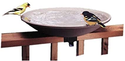 API 645 Unheated Bird Bath Bowl with Tilt-to-Clean Deck Rail Mounting Bracket