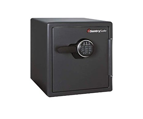 SentrySafe SF123ES Electronic Fire-Safe File