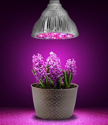 Hoont™ LED Grow Light – Indoor Plant, Flowers and Herb Light; For Indoor Growing and Hydroponics – (Fits Standard Socket, E27, 15W, Long Lasting 50,000 hours, Low Energy Consumption, Low Heat)