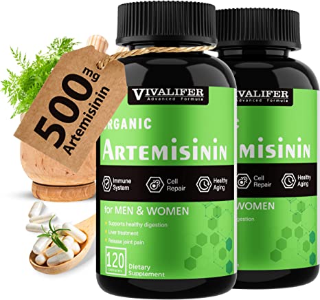 Artemisinin or Artemisia Annua 2PACK - 500mg Sweet Wormwood Extract Support Healthy Aging, Digestion, and Immunity, 120 Vegan Capsules