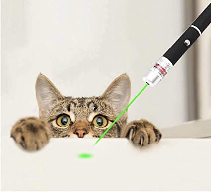 JDX Pet Toys (cat/Dog) Outdoor Entertainment LED Lighting Green Pointer Demonstration Projector Pen