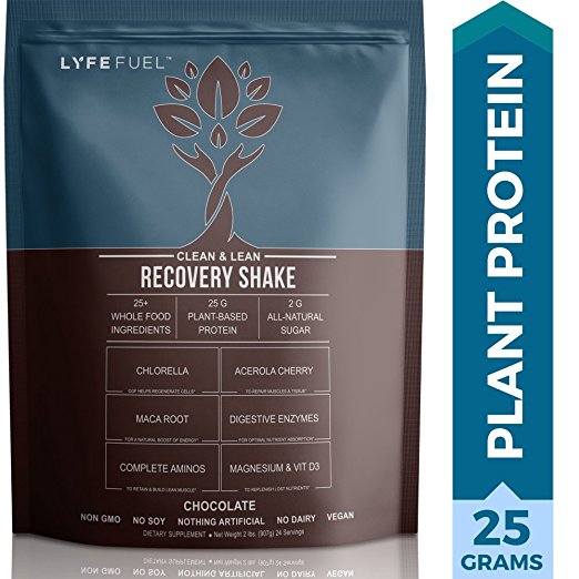 Vegan Protein Powder Post Workout Recovery Shake Mix by LyfeFuel, All Natural Raw Superfood Plant Based Drink Supports Lean Muscle Growth for Men & Women (Chocolate) 2 lb Bag - 25 Grams Protein