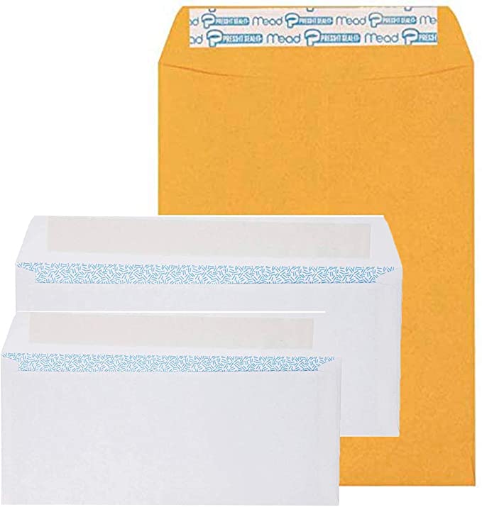 Security Envelopes 45 Per Box (White) and Envelopes Self Adhesive 25-Pack (Brown Kraft)