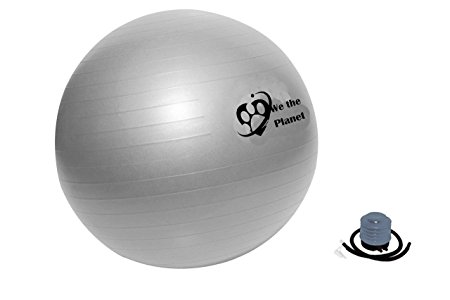 Stability and Balance Ab Ball Yoga Fitness & Exercise Ball 55CM, 65CM By We The Planet
