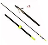 Three Fishing Arrows with Broadhead