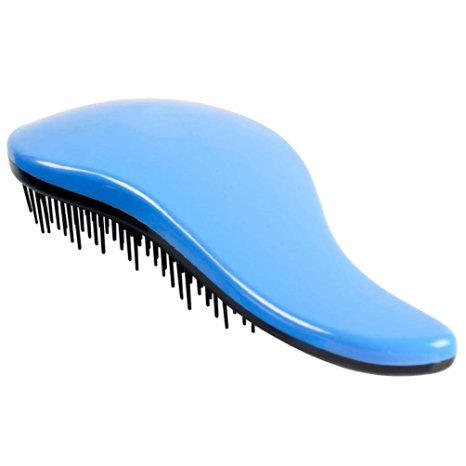 SHEENROAD Detangling Brush Paddle Hair Care Healthy Detangler Comb (Blue)