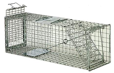 Safeguard Model 52824 Live Cage Trap Rear Release 24" x 7" X 8" for rabbits, skunks, large squirrels