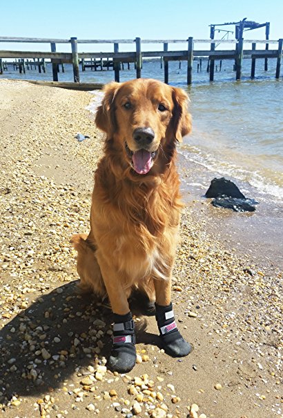 All Weather Neoprene Paw Protector Dog Boots with Reflective Velcro Straps in 5 Sizes!