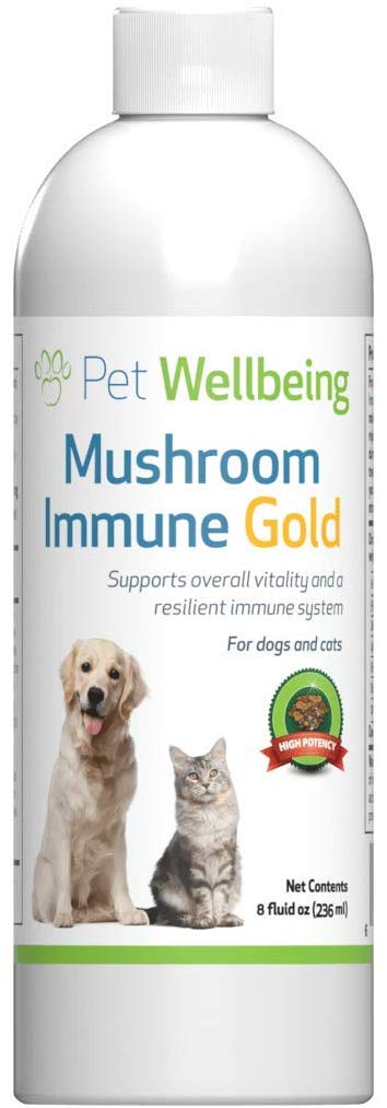 Pet Wellbeing - Mushroom Immune Gold - Natural Alternative Support for Dogs and Cats with Cancer - 8oz (236ml)