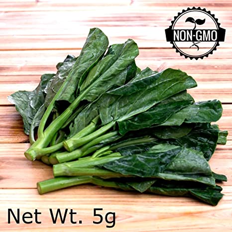 Gaea's Blessing Seeds - Organic Gailan 500+ Seeds Non-GMO Chinese Broccoli Chinese Kale Brassica Oleracea Kailaan Kai LAN 93% Germination Rate Net Wt. 2.5g
