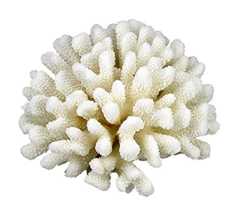 COMLZD Cauliflower Coral Statue Decorative Accent Resin Sculpture Display for Home Decor or Aquarium 9.4 inch by 6.3 inch Large Size White