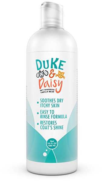 Duke N’ Daisy Anti-Itch Pet Shampoo—Safe and Natural Shampoo for All Pets—Designed to Relieve Dry, Itchy Skin—Powerful-but-Gentle Wash Ideal for Sensitive Dogs and Cats