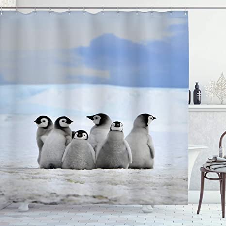 Ambesonne Underwater Shower Curtain, Young Penguins Arctic Animals Picture Background with Snow Pile and Winter Sky, Cloth Fabric Bathroom Decor Set with Hooks, 70" Long, White Grey