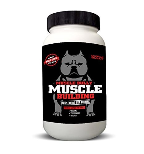 Muscle Building Supplement for Bullies (120 Tablets) Help Build Muscle on Dogs, Safe and Veterinarian Approved (Made in the USA)