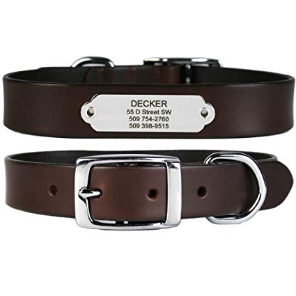 Premium Leather Dog Collar w/Stainless Steel Rivet-On Pet ID Tag. Soft Touch Genuine Italian Leather w/Personalized Stainless Steel Dog Tag. Perfect for Small, Medium, or Large Dogs, Male or Female.