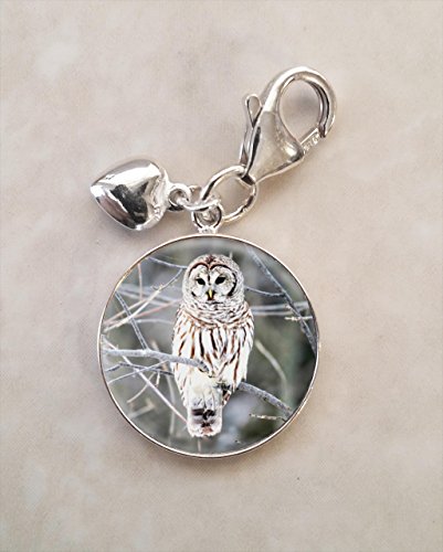 Snow Owl Animal Bird .925 Sterling Silver Charm