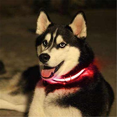 Emmabin LED Dog Collar, USB rechargeable, Glow or Flash Pet Dog for Ultimate Safety, Good for Small, Medium and Large Dogs
