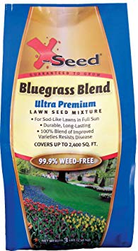 X-Seed Ultra Premium Bluegrass Blend Lawn Seed Mixture, 3-Pound
