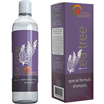 Tea Tree Oil Shampoo for Moderate Dandruff with Organic Lavender and Rosemary helps with Lice - Natural Treatment for Skin Blemishes - Women Kids Men and Teens - Helps with Blood Circulation and Stimulates Cell Renewal - 8 oz USA Made by Maple Holistics