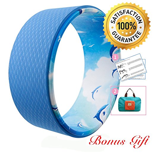 Yoga Wheel with Manual for Dharma Yoga Poses, Backbend and Stretching| Relieves Pain and Stress in Back, Chest and Shoulder | Increase Flexibility | Fitness Assist in Dharma Yoga 13" x 5" (Dia x Width) (Blue Ocean)
