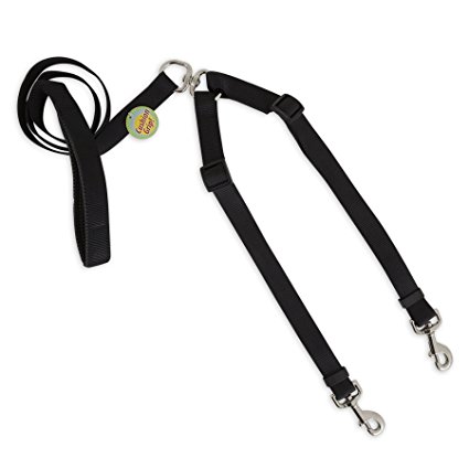 Petmate Take Two Adjustable Lead with Cushioned Handle - Black - 1"