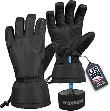 Wildhorn Tolcat Unisex Waterproof Leather Ski Gloves- Touchscreen Compatible