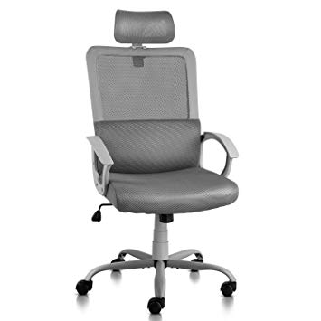 Ergonomic Office Chair Adjustable Headrest Mesh Office Chair Office Desk Chair Computer Task Chair (Light Gray)