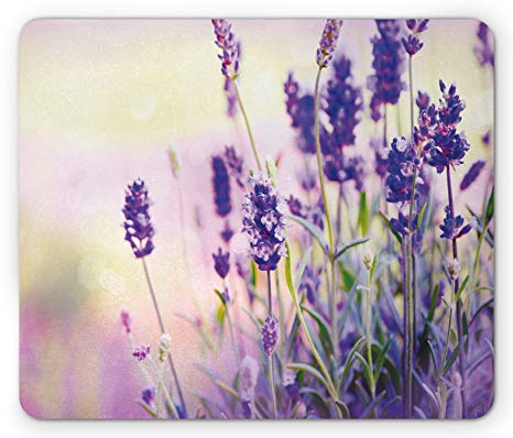 Lunarable Lavender Mouse Pad, Dreamlike Spring Day with Fresh Blossoms Aromatic Delicate Wild Flowers, Standard Size Rectangle Non-Slip Rubber Mousepad, Lavender Lilac Green