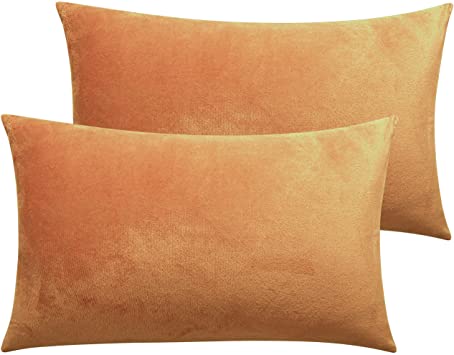 NTBAY Zippered Velvet Queen Pillowcases, 2 Pack Super Soft and Cozy Luxury Solid Color Pillow Cases, 20 x 30 Inches, Ginger Yellow