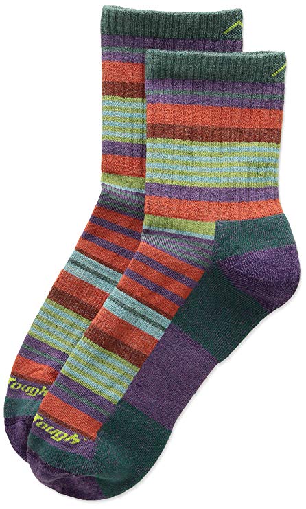 Darn Tough Sierra Stripe Micro Crew Light Cushion Sock - Kid's