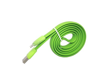 YF 3.3ft MFi Sync Flat Cable Charger Cord and Lightning Super Speed Power for Apple iPhone ( Green)