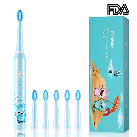 Mr.White Sonic Toothbrush Rechargeable Electric Toothbrush 3 Modes IPX7 Waterproof 6 Replacement Heads with Smart Timer (Blue)