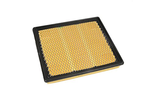 ACDelco A3174C Professional Air Filter