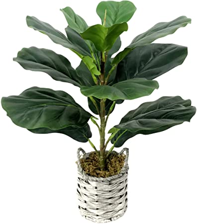 Little Fiddle Leaf Fig Tree Artificial Floor Plants Fake Top Centerpieces in Woven Pot 22 Inch Tall for Home Office Decor -1 Pack
