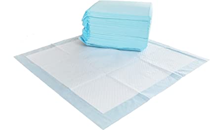 Amazon Basics Leak-Proof, 5-Layer, Scented Dog Pee Pads for Potty Training, 22x22 inches-Pack of 50