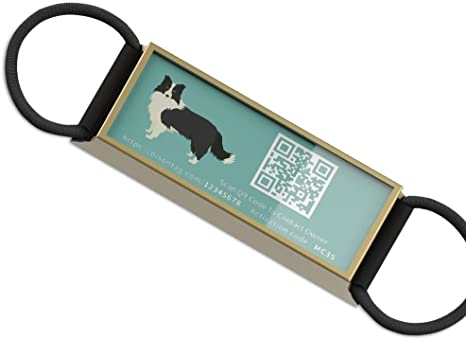 DISONTAG Smart PET ID TAG with QR Code, Personalized Funny Dog ID TAG,Storing&Showing More Infomation,Slide-On Pet Tags, No Noise Silent Collar Tags for Small Medium Large Breeds Pets,30 Style