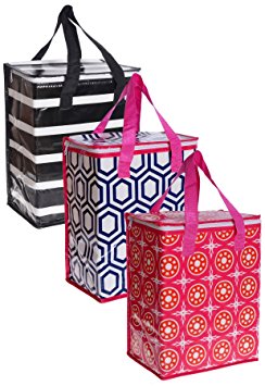 Planet E Grocery Cooler bag Pack of 3