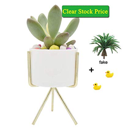 Succulent Planter Stand Rack and Succulent Pot (3 Inch with Hole), Cute Desk Planter Set - NO Real Plants