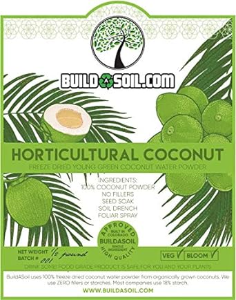 BuildASoil Coconut Water Powder - Raw Freeze Dried Organic (1/2 lb)