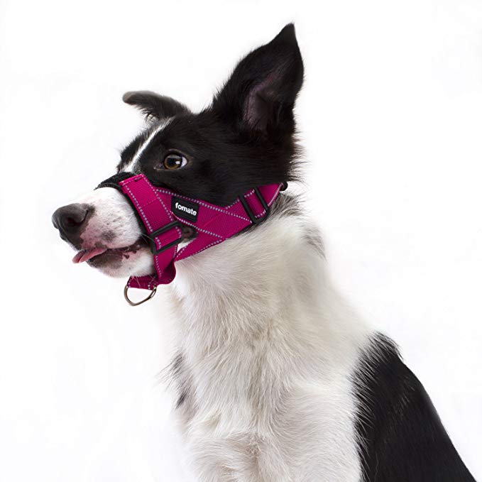 FOMATE Quick-Fit Dog Muzzle Lead Collar with Adjustable Sections, Quick Release Strap, and High Visibility Safety Reflective Stripes (Medium, Reflective Rose Red)