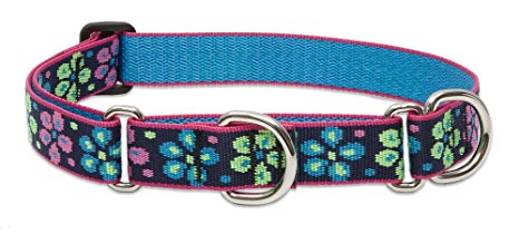 Lupine 1-Inch Flower Power Martingale Combo Collar for Large Dogs,