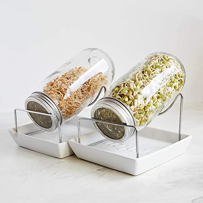 Sprouting Jar Kit - 2 Seed Sprouters with Lids, Stands and Trays - Sprouter Germinator Set with Mason Jars to Grow Your Own Broccoli Alfalfa Bean Microgreens Sprouts