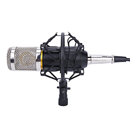 Condenser Microphone, Bewelter BM-800 Radio Recording Microphone wtih Mic Shock Mount Holder for Home Entertainment, Stage Performances, Musical Instruments Recordings, Events Use ect.(Black-Silver)