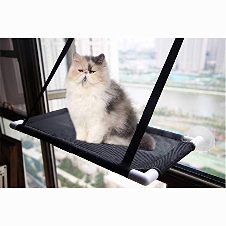 David City Cat Window Perch, Cat Sunbathing, Cat Hammock Can Place to Any Smooth Position with A Suction Cup to Carry 35 Pounds. Enjoy 360 Degrees Sunbathing.