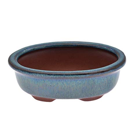 Lychee Chinese Bonsai Pot Oval Glazed Flower Pot Planter Home Garden Decor