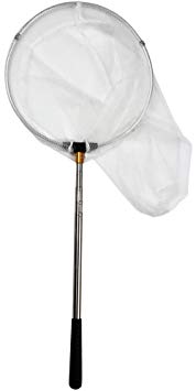 RESTCLOUD Insect and Butterfly Net with 12" Ring, Handle Extends to 59 Inches