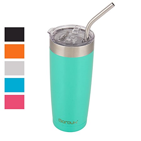 Boroux Climate Series 20oz Insulated Stainless Steel Tumbler Cups with Extra Wide Stainless steel Straw - Seafoam Green