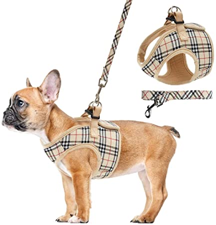 Soft Mesh Small Dog Harness with Leash - Basic Plaid Padded Chest Vest for Kitties,Puppy,Small Pets