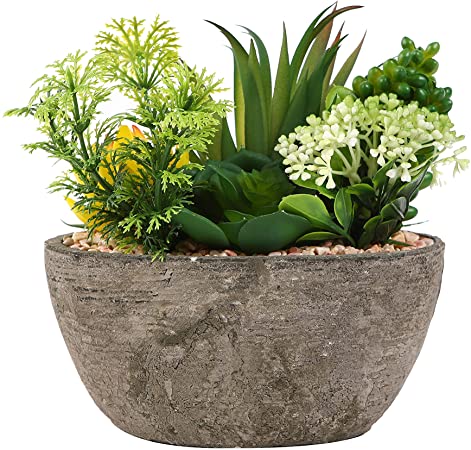 Pulp Simulation Potted Plant Tabletop Assorted Artificial Succulent Plants in Decorative Oval Textured Pulp Pot( 6 Plant) Size E