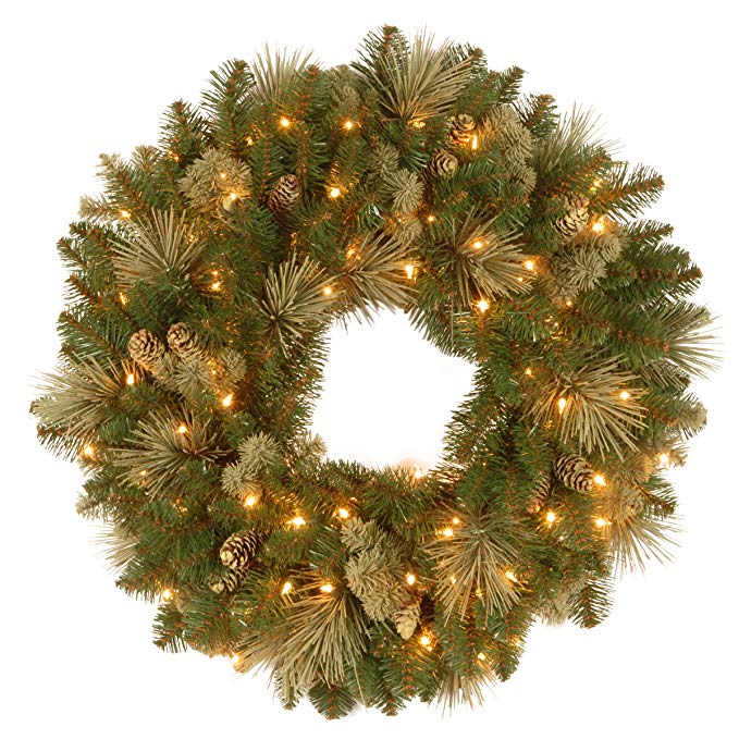 National Tree 24 Inch Carolina Pine Wreath with Flocked Cones and 50 Clear Lights (CAP3-306-24W-1)